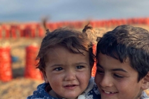 “Bu İş Çocuk Oyuncağı Değil” – Çocuk İşçiliğiyle Mücadele Programı