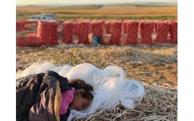 “Bu İş Çocuk Oyuncağı Değil” – Çocuk İşçiliğiyle Mücadele Programı