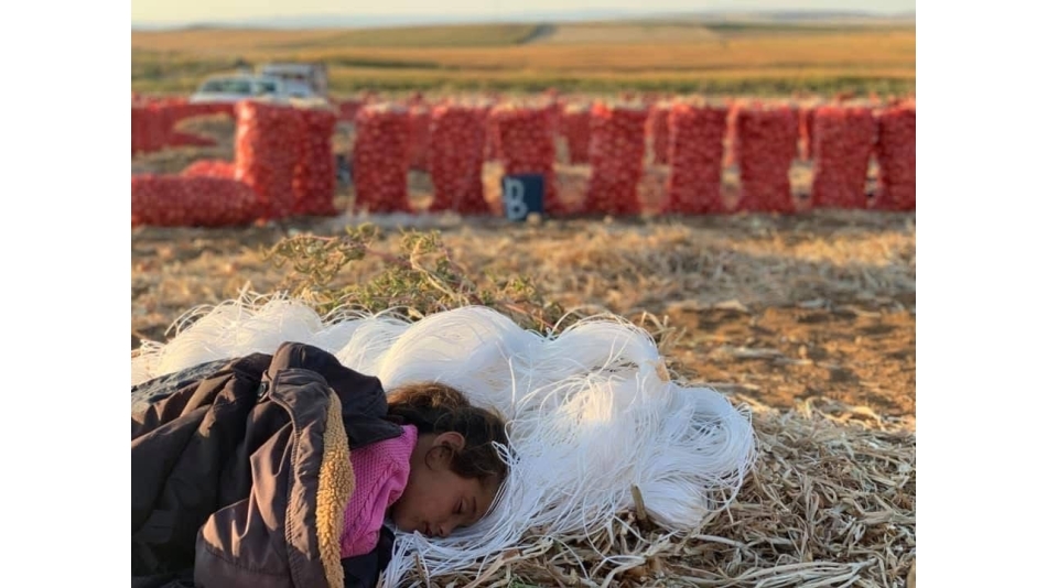 “Bu İş Çocuk Oyuncağı Değil” – Çocuk İşçiliğiyle Mücadele Programı